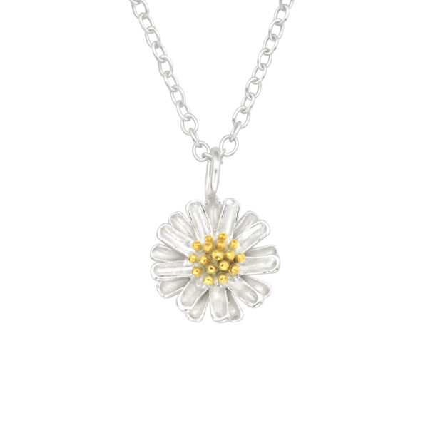 DAISY BLOOM