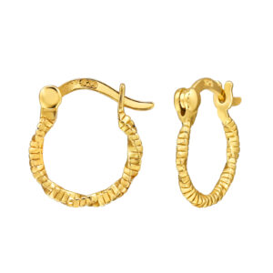 TWISTED HOOPS