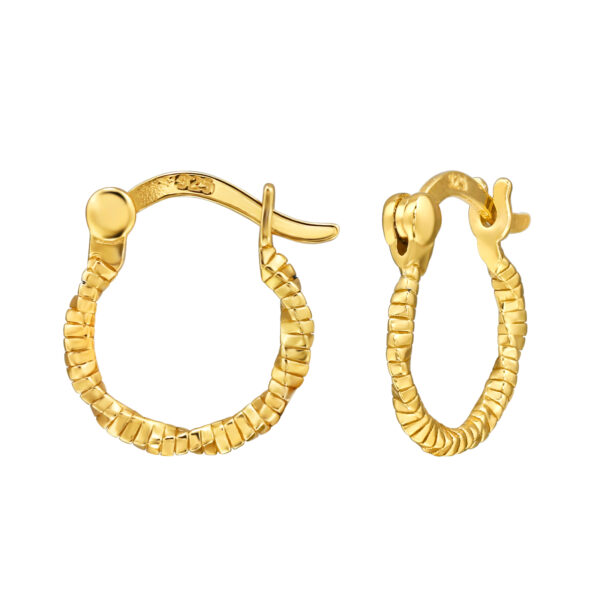 TWISTED HOOPS